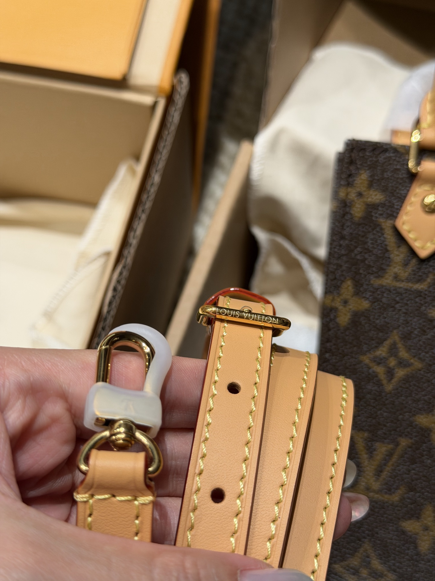 Louis Vuitton Handbag