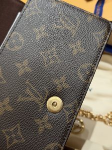 Louis Vuitton Handbag