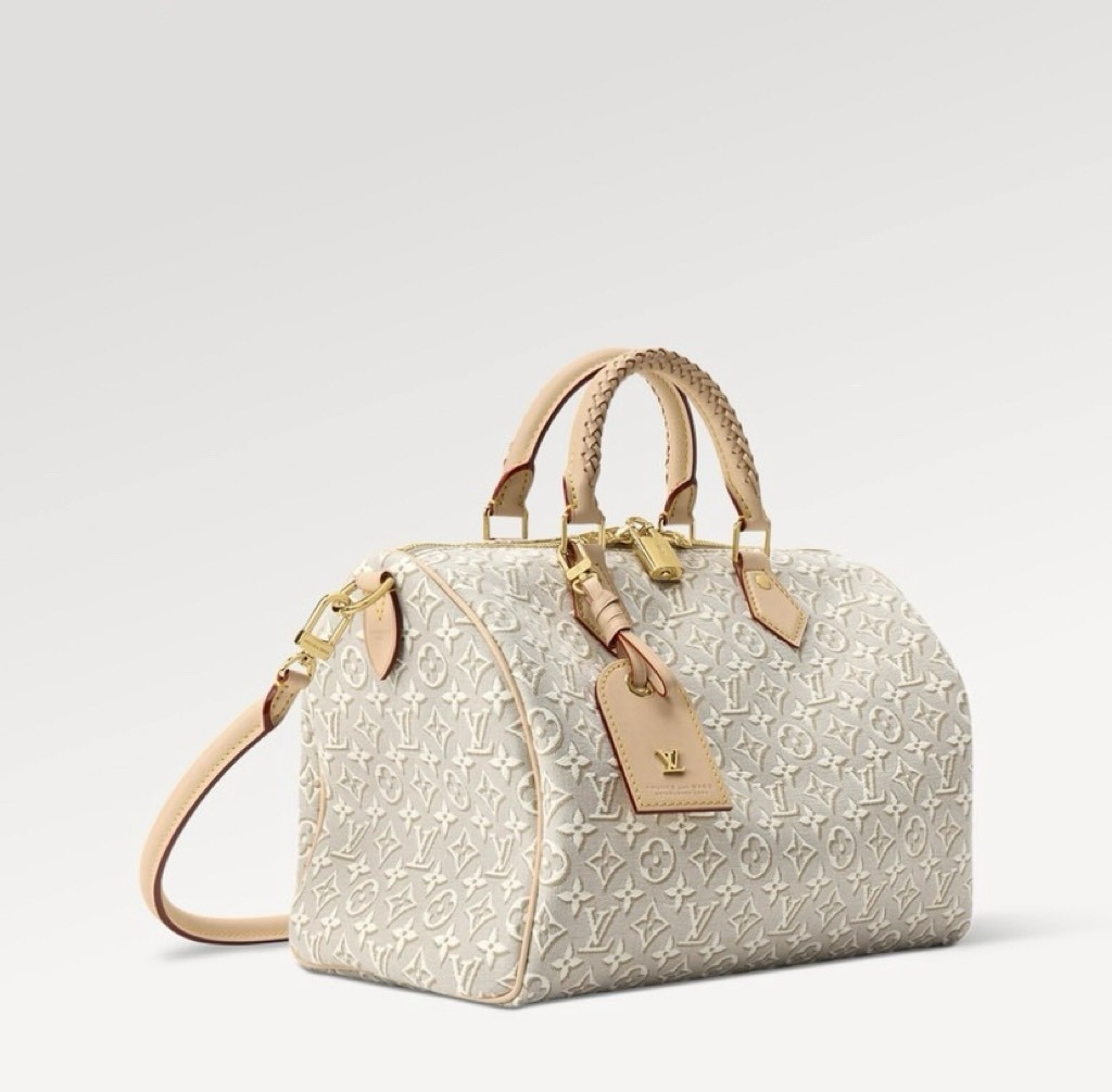 Louis Vuitton Handbag M2847 in Grey