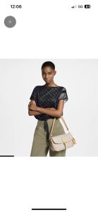 Louis Vuitton Handbag M29795 in Grey