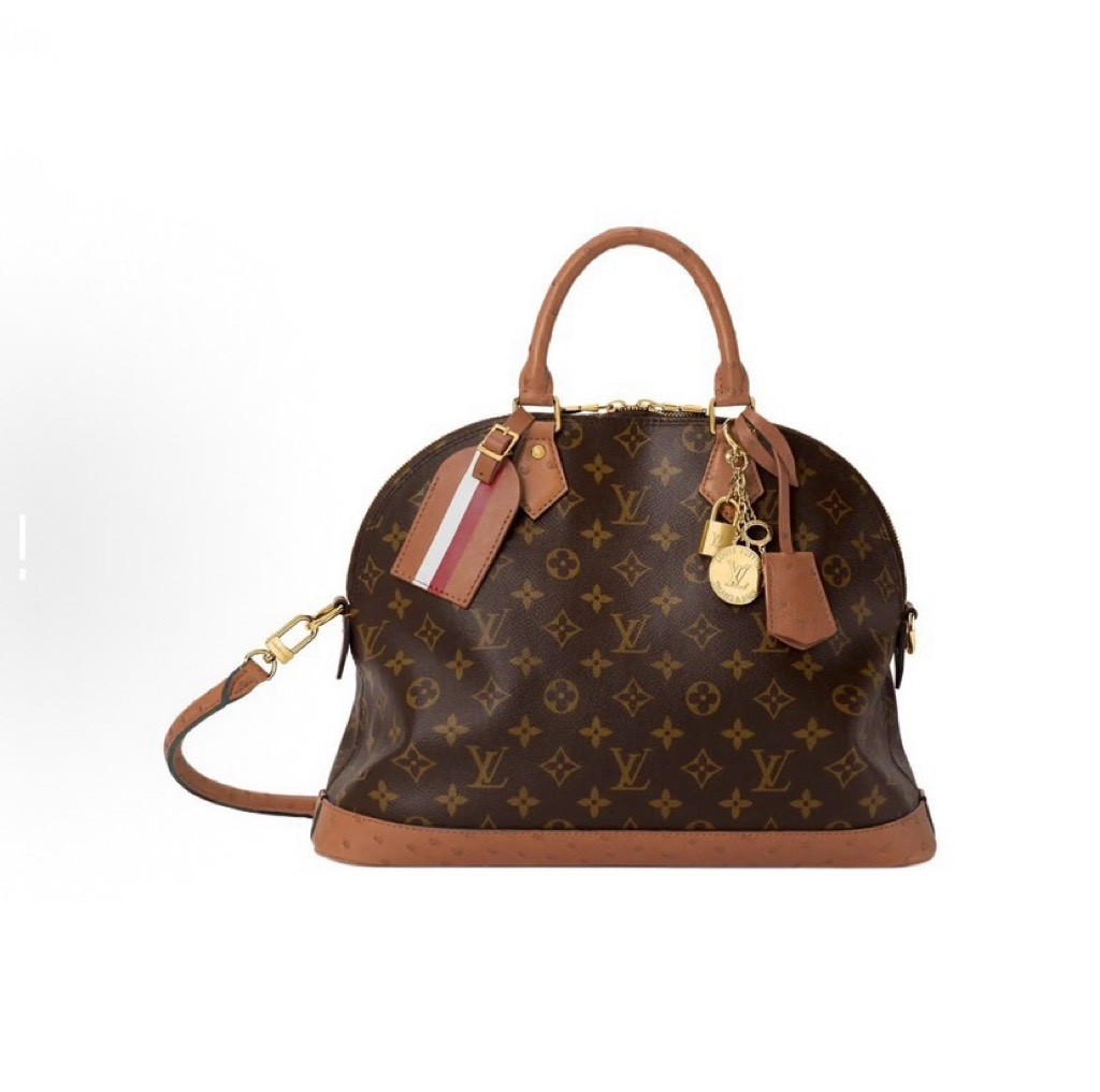 Louis Vuitton Handbag in Brown