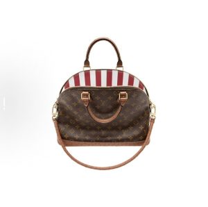 Louis Vuitton Handbag in Brown