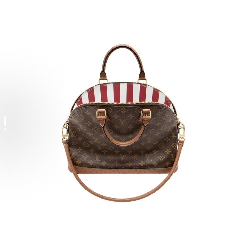 Louis Vuitton Handbag in Brown