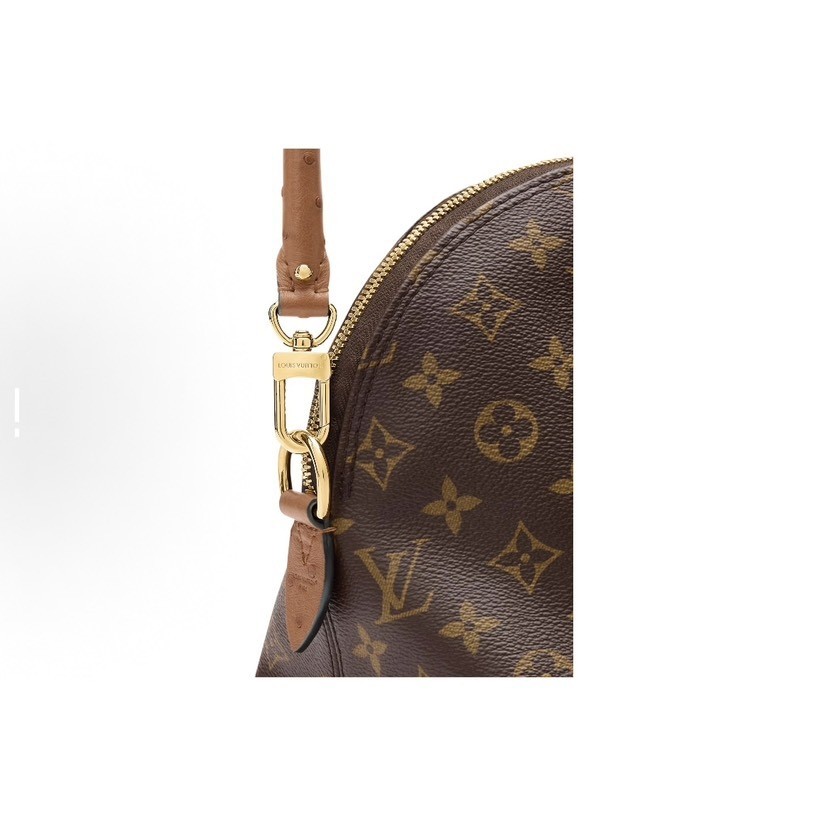 Louis Vuitton Handbag in Brown