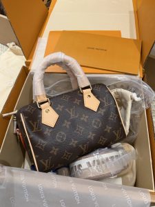 Louis Vuitton Bag
