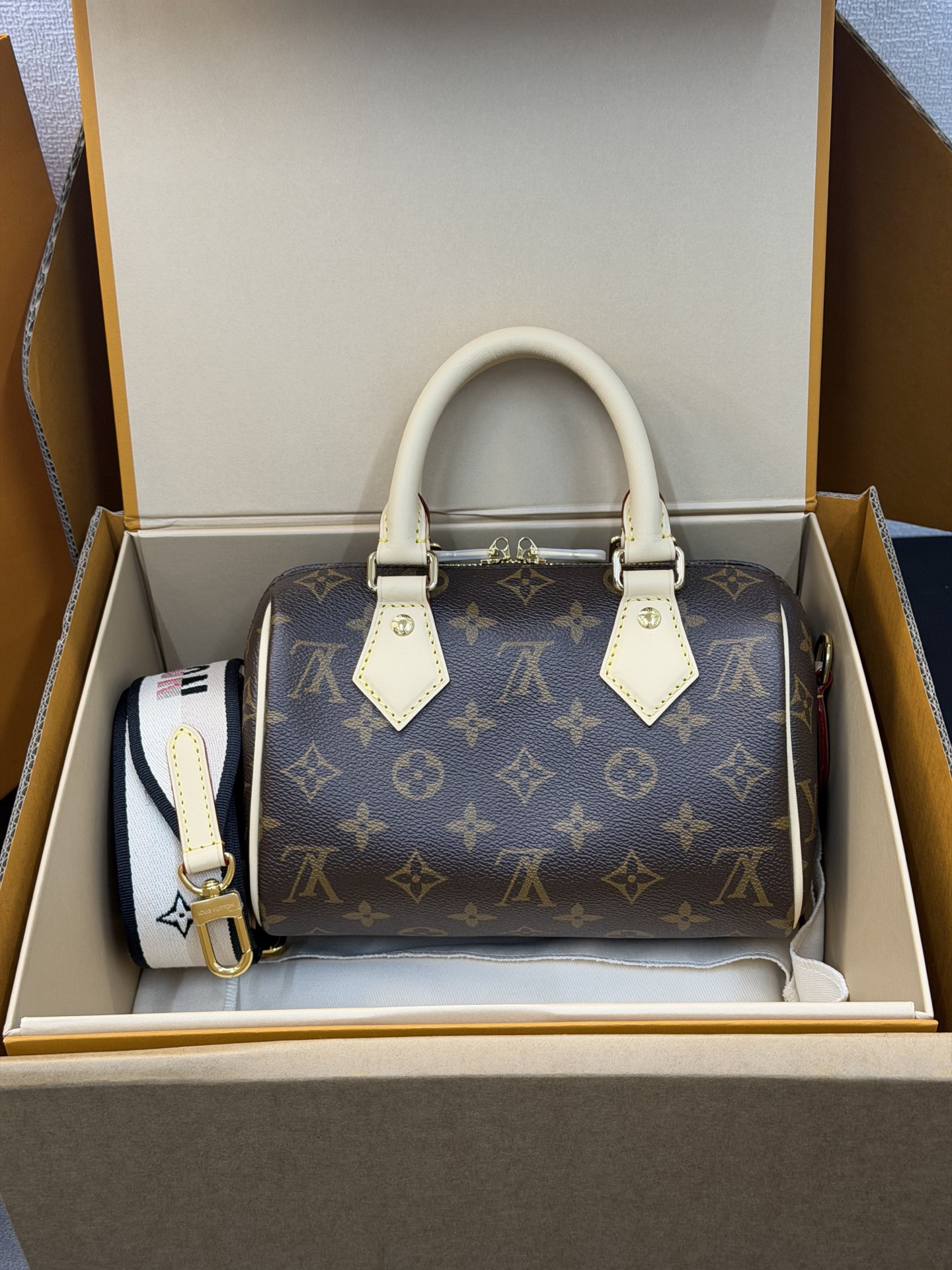 Louis Vuitton Bag