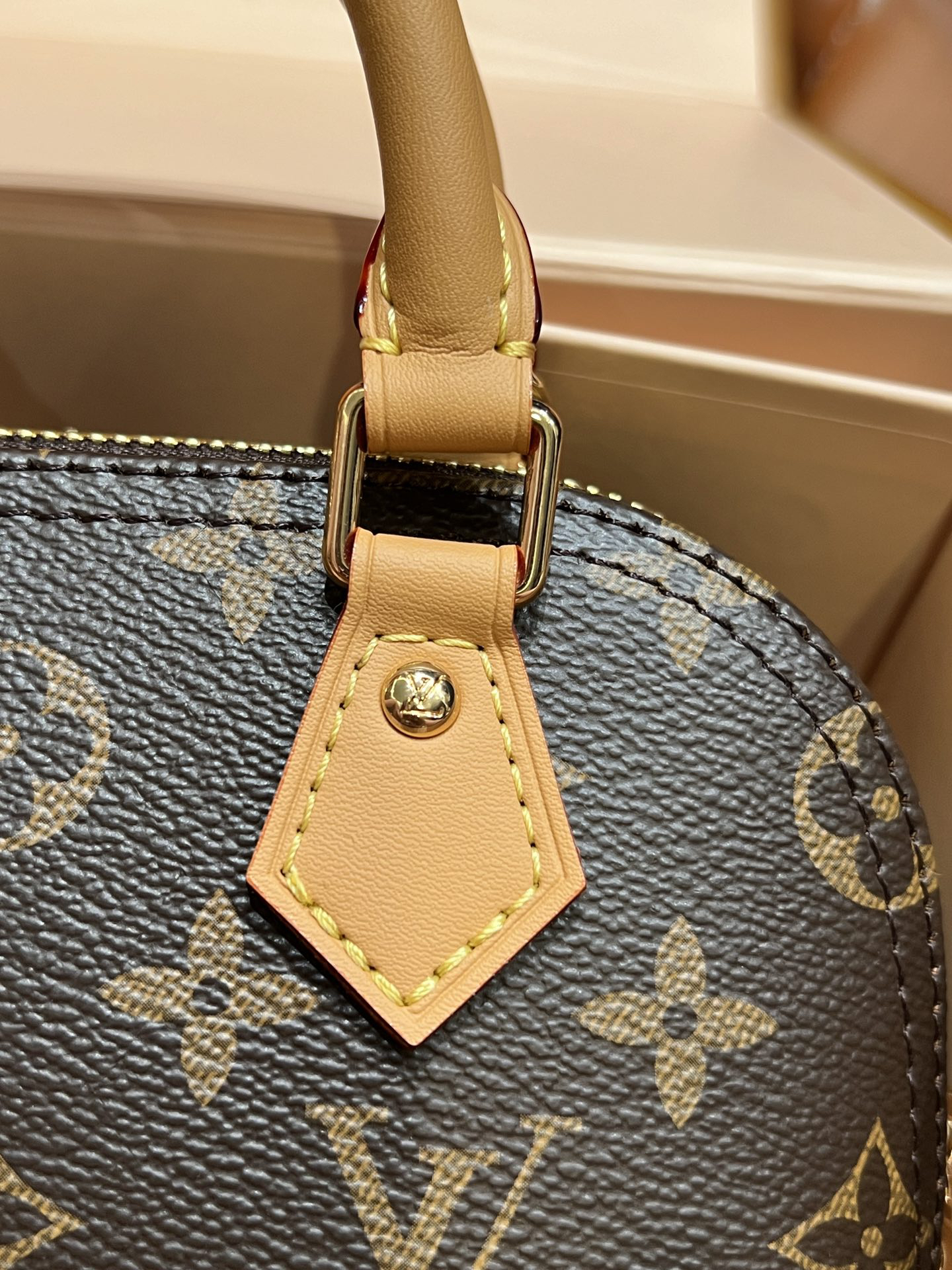 Louis Vuitton Handbag