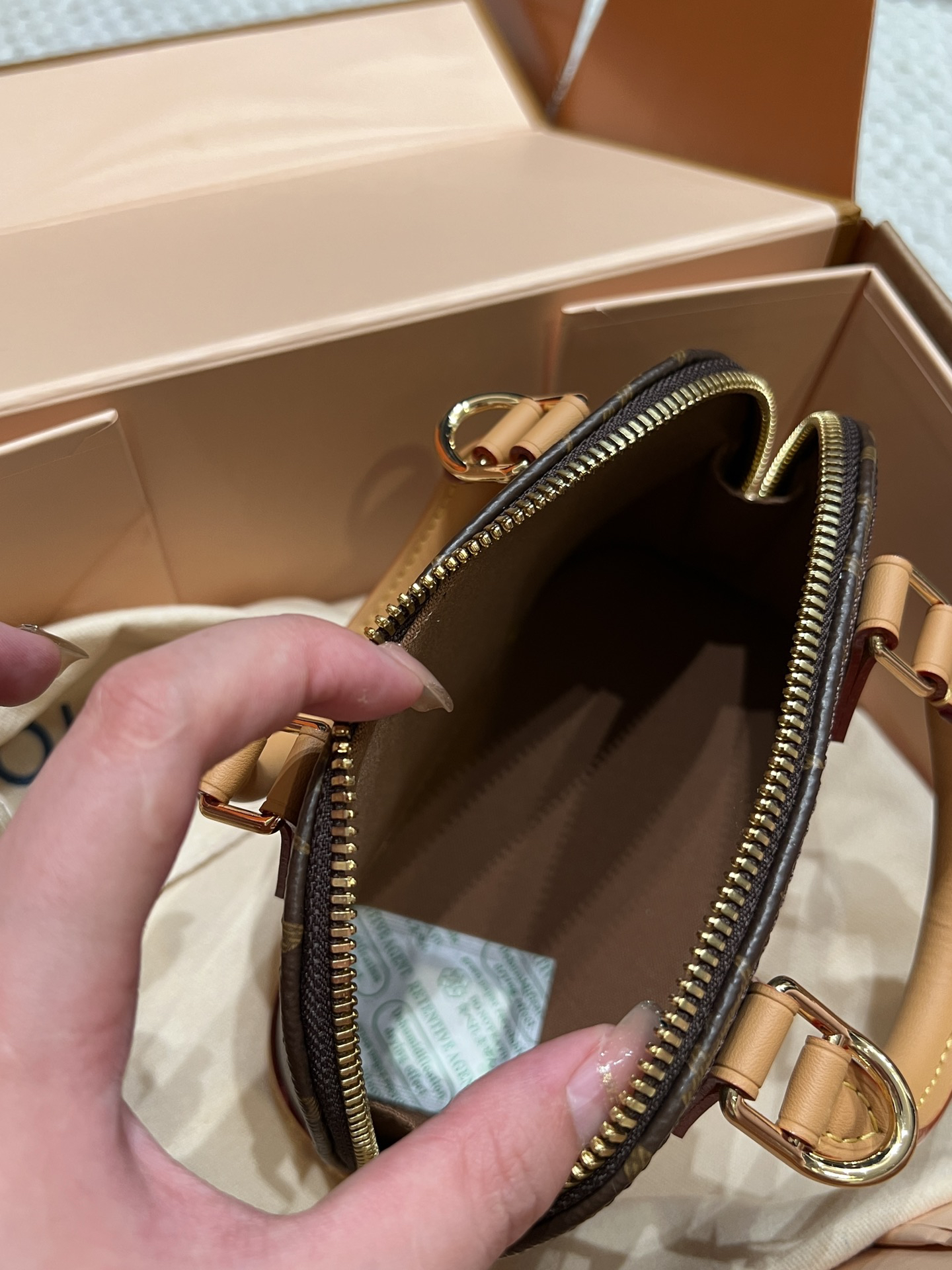 Louis Vuitton Handbag