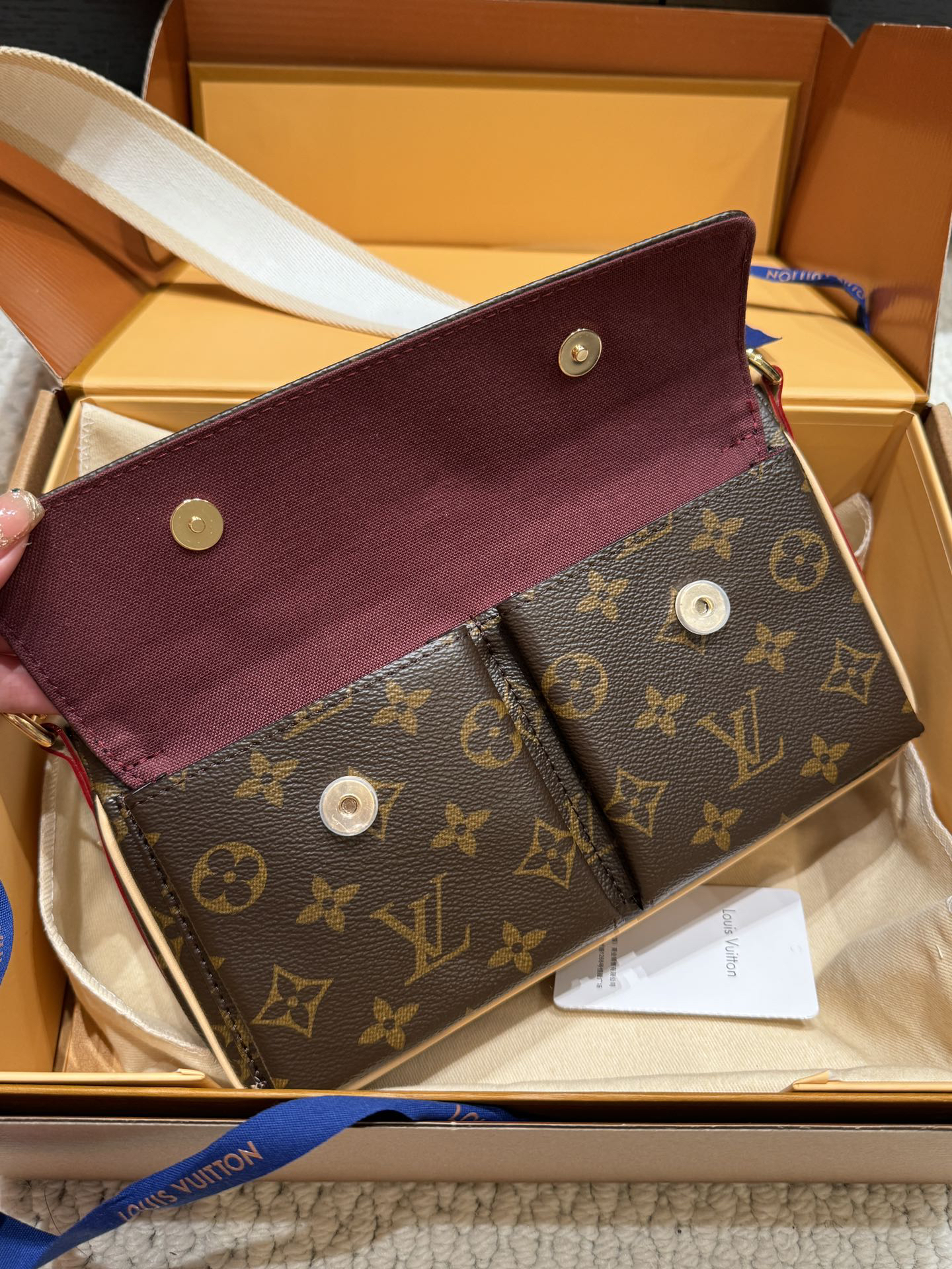Louis Vuitton Handbag