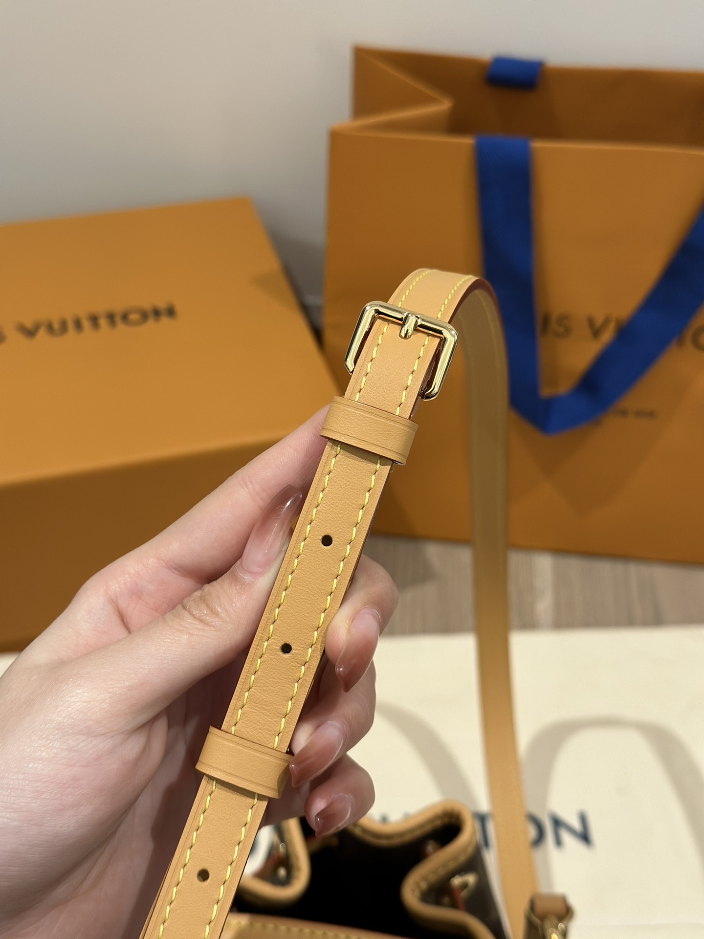 Louis Vuitton Handbag