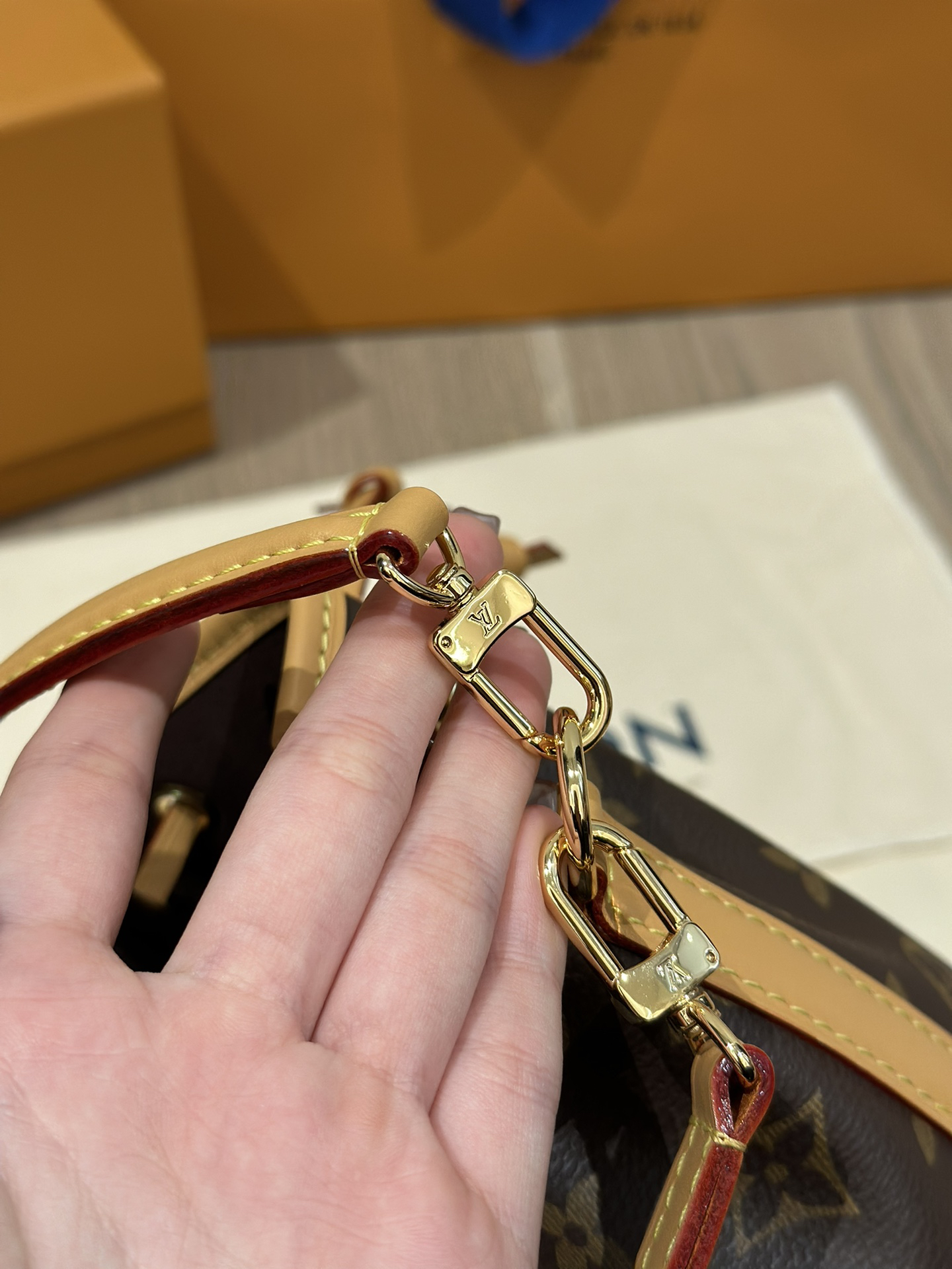 Louis Vuitton Handbag