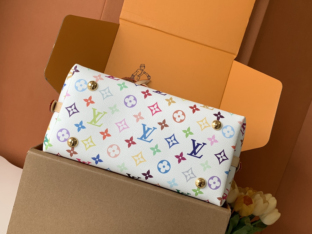 Louis Vuitton Handbag M13661