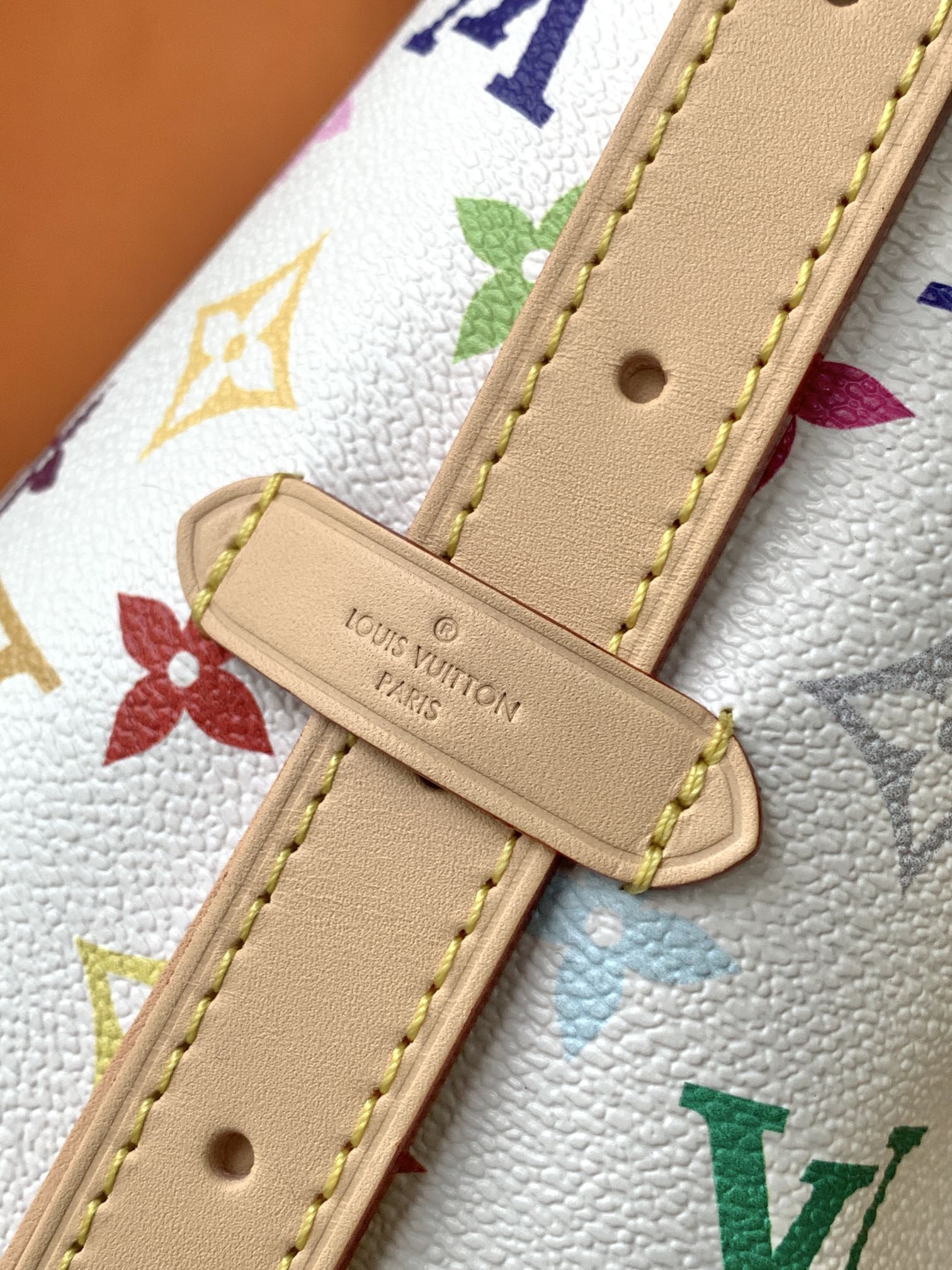 Louis Vuitton Handbag M13661