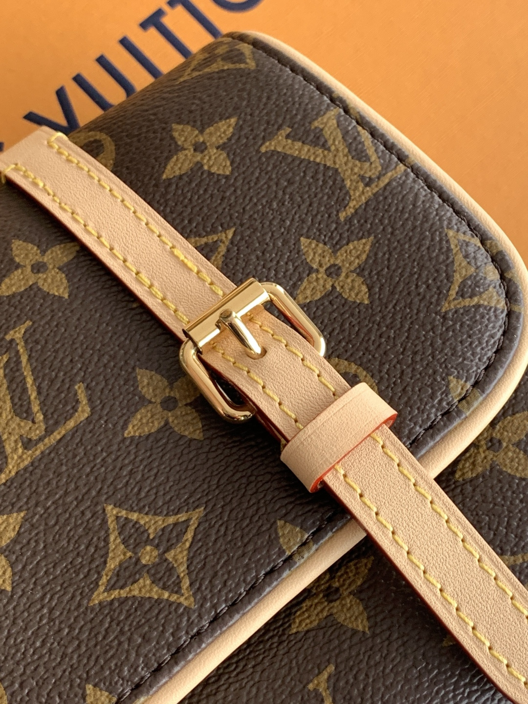 Louis Vuitton Shoulder Bag M28613