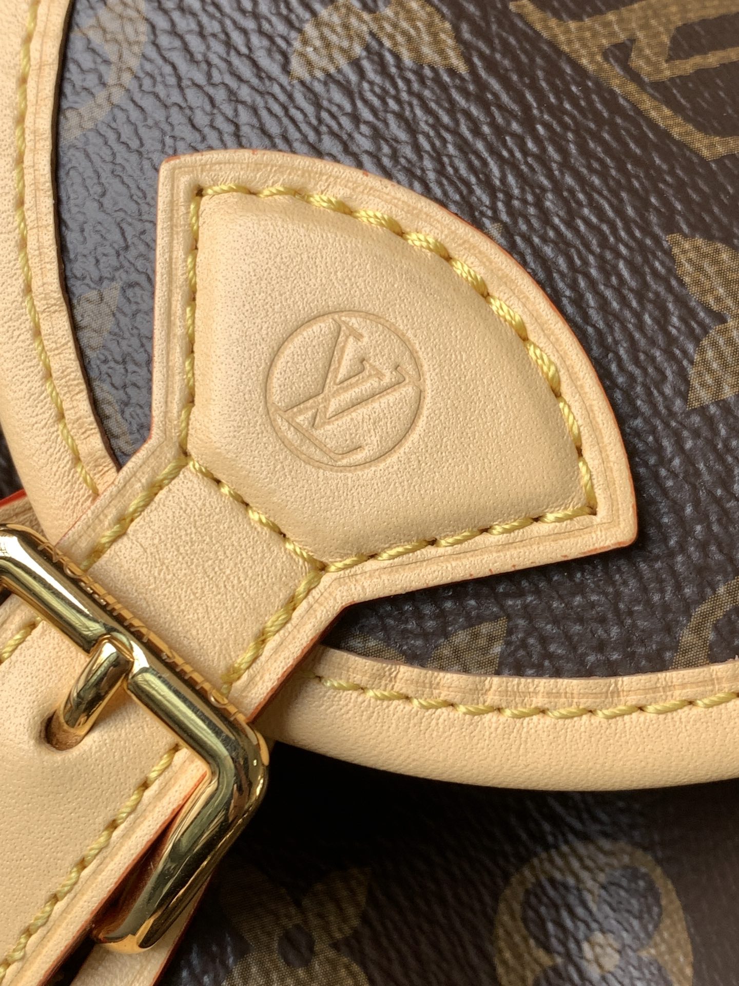 Louis Vuitton Backpack M46932
