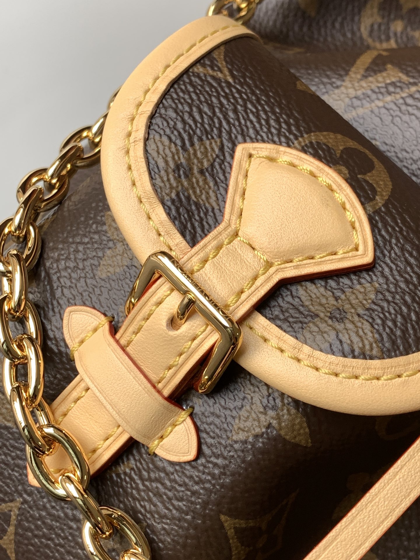 Louis Vuitton Backpack M46932