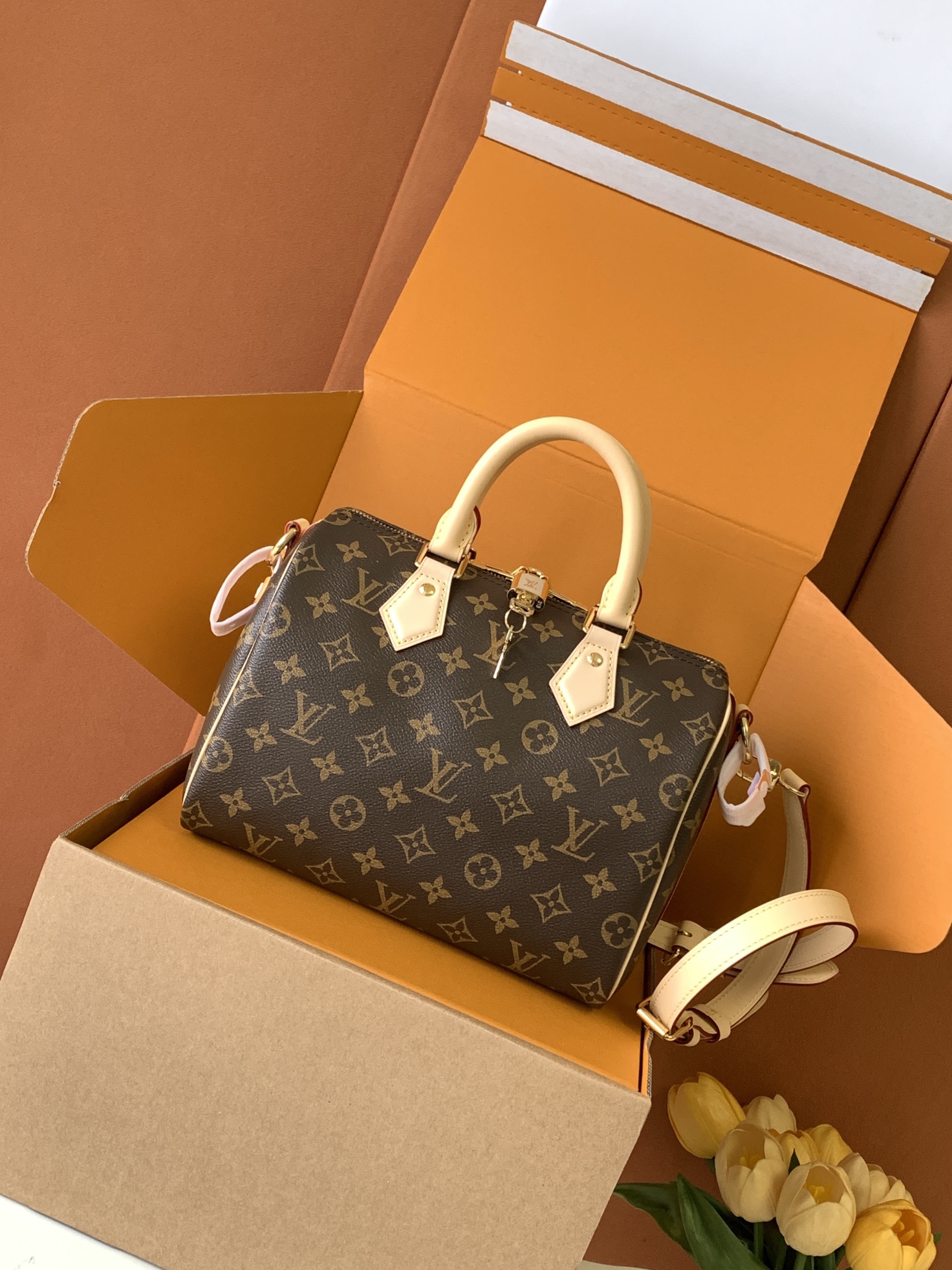 Louis Vuitton Handbag M46977