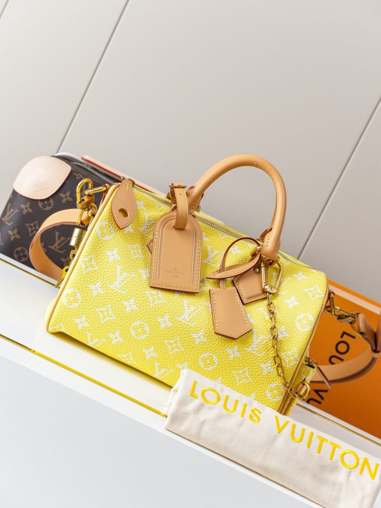 Louis Vuitton Handbag M13902