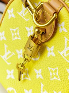 Louis Vuitton Handbag M13902