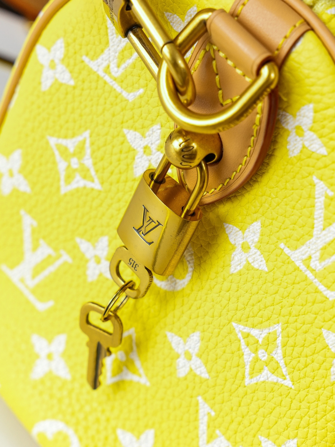 Louis Vuitton Handbag M13902
