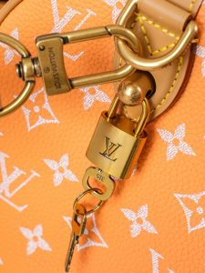Louis Vuitton Handbag M13912
