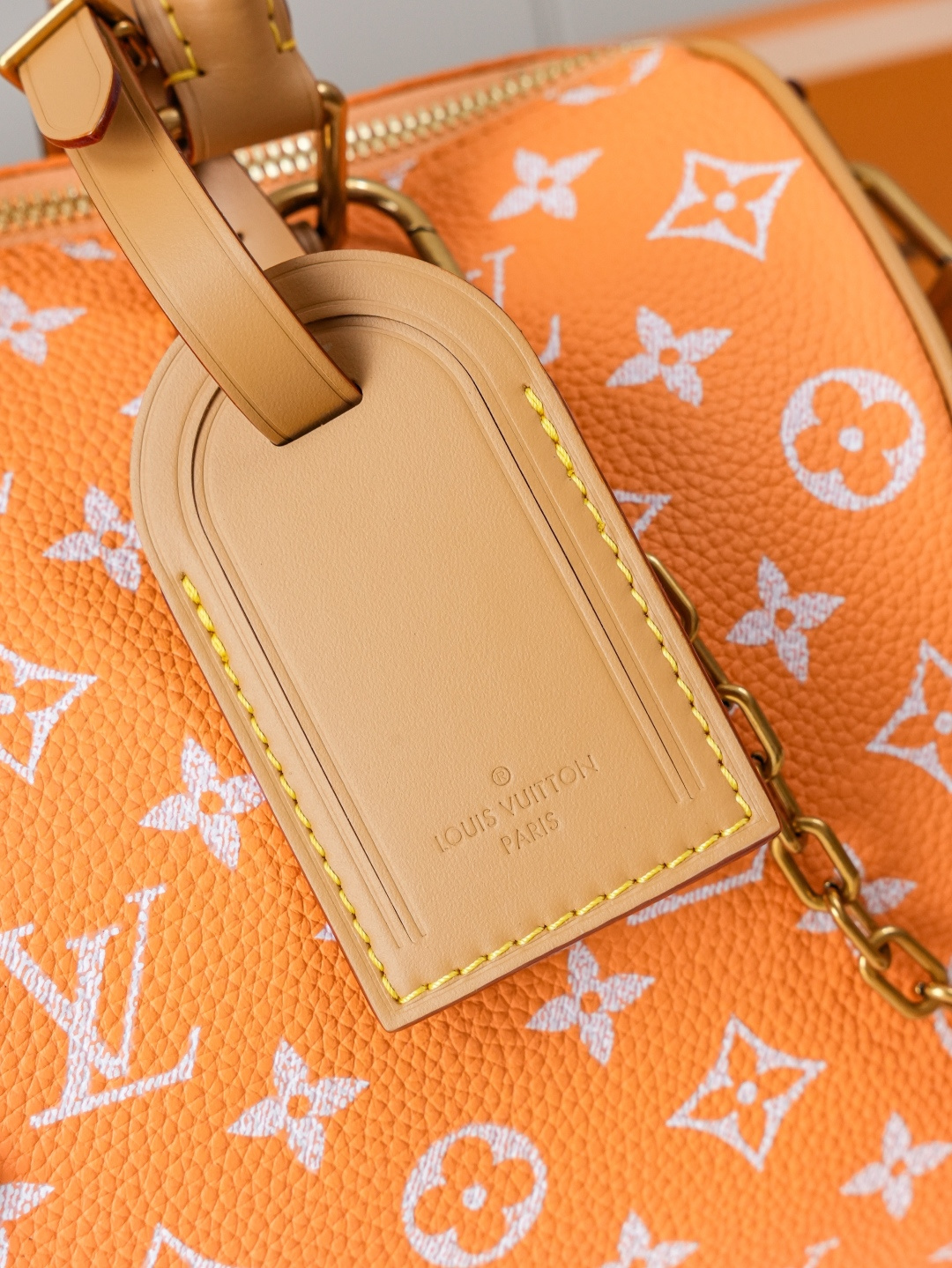 Louis Vuitton Handbag M13912