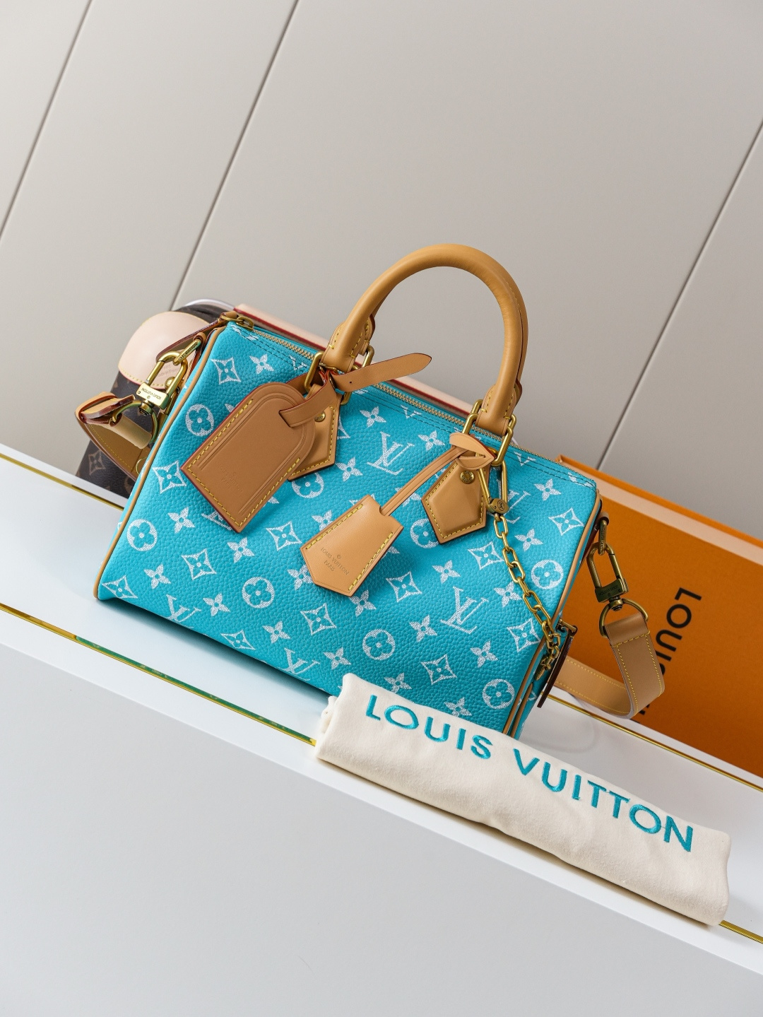 Louis Vuitton Handbag M11561