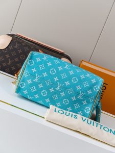 Louis Vuitton Handbag M11561