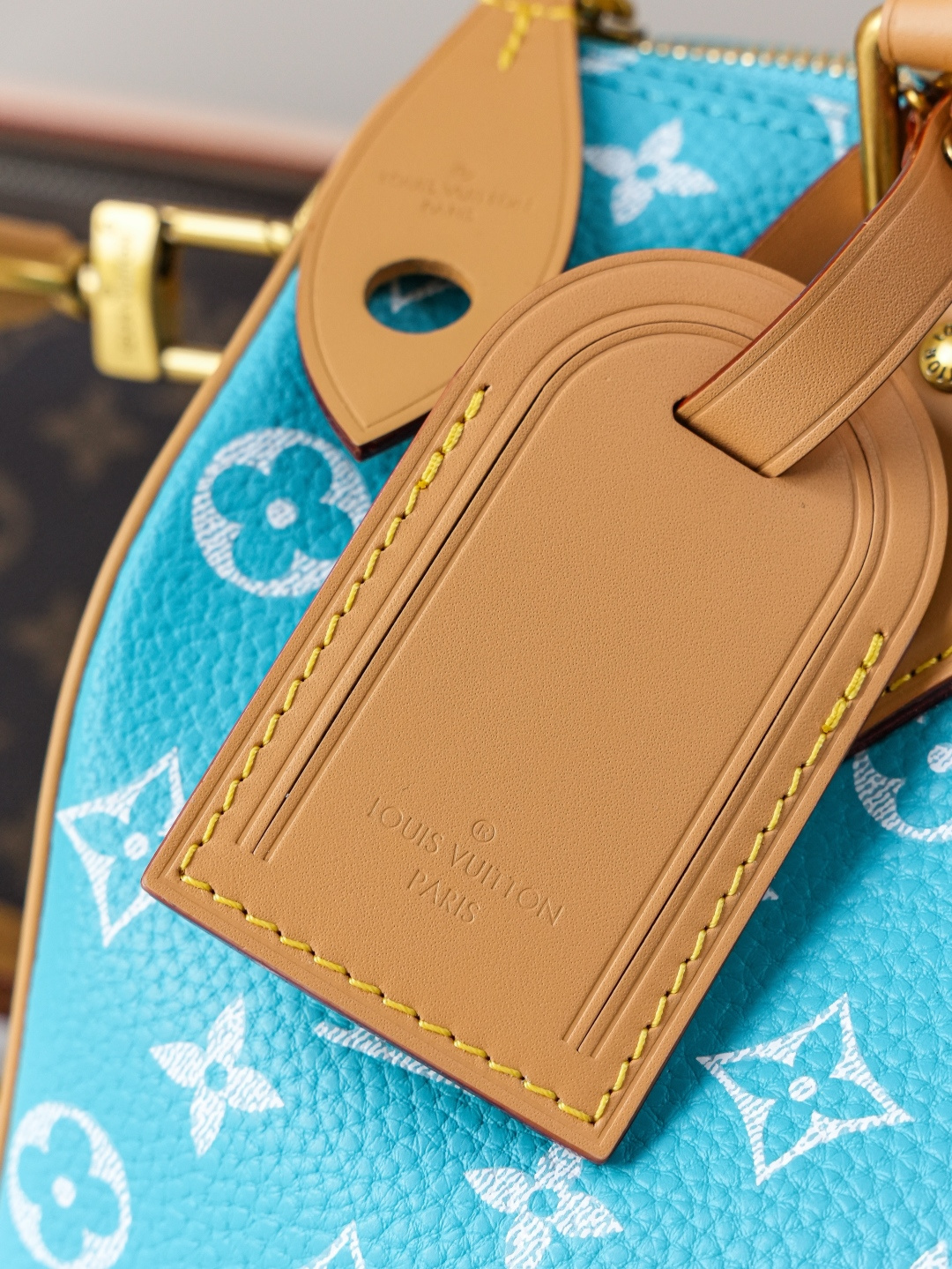 Louis Vuitton Handbag M11561