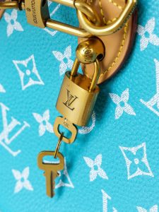 Louis Vuitton Handbag M11561