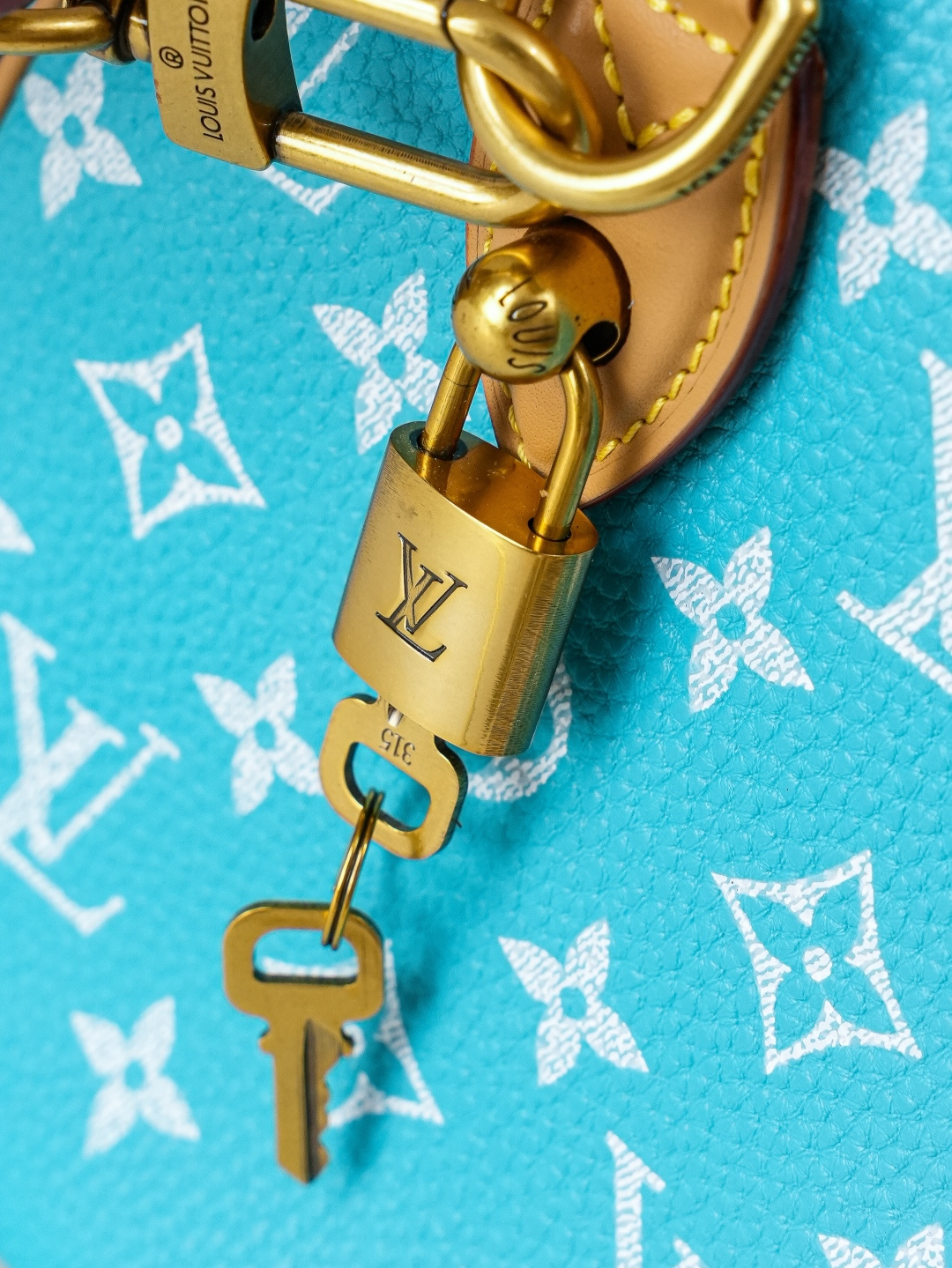Louis Vuitton Handbag M11561
