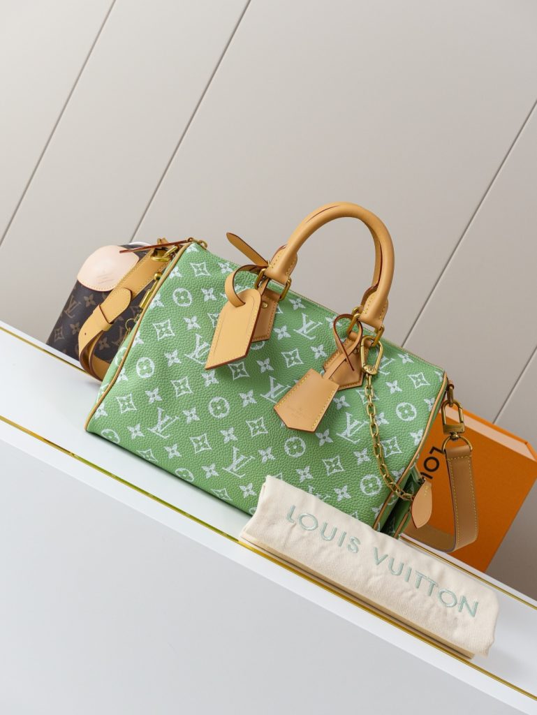 Louis Vuitton Handbag M14064