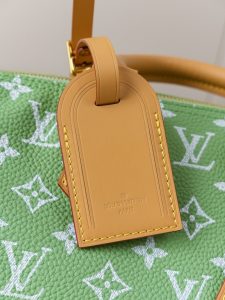 Louis Vuitton Handbag M14064