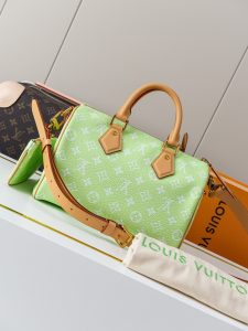 Louis Vuitton Handbag M24443