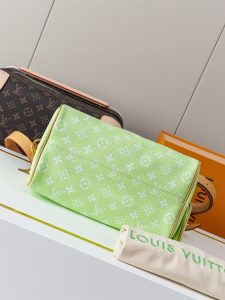 Louis Vuitton Handbag M24443