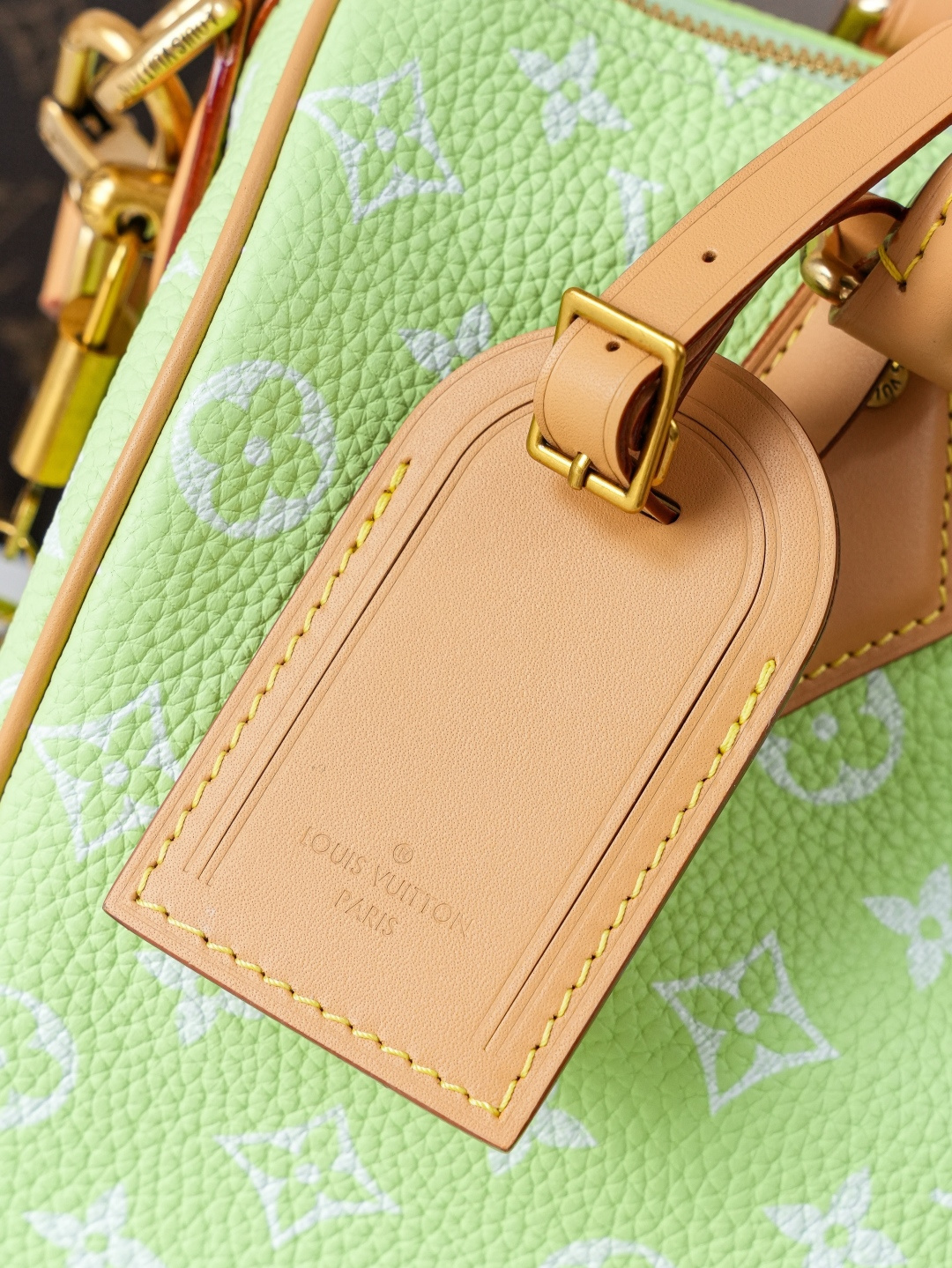 Louis Vuitton Handbag M24443