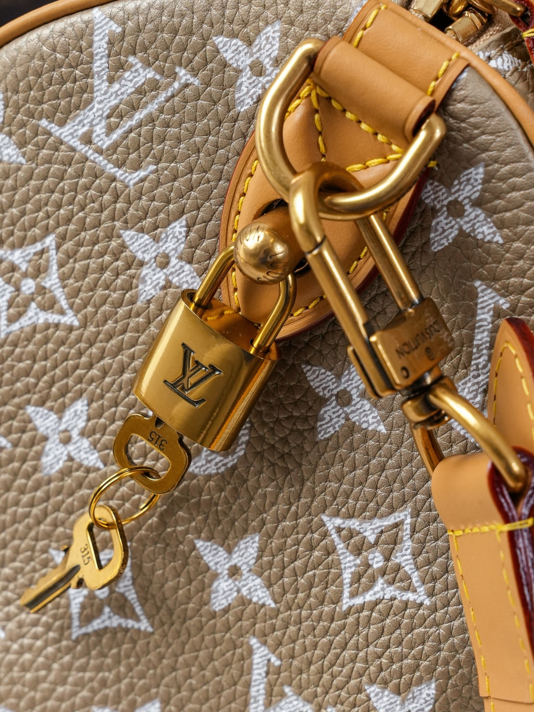 Louis Vuitton Handbag M26305