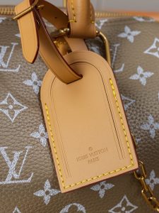 Louis Vuitton Handbag M26305