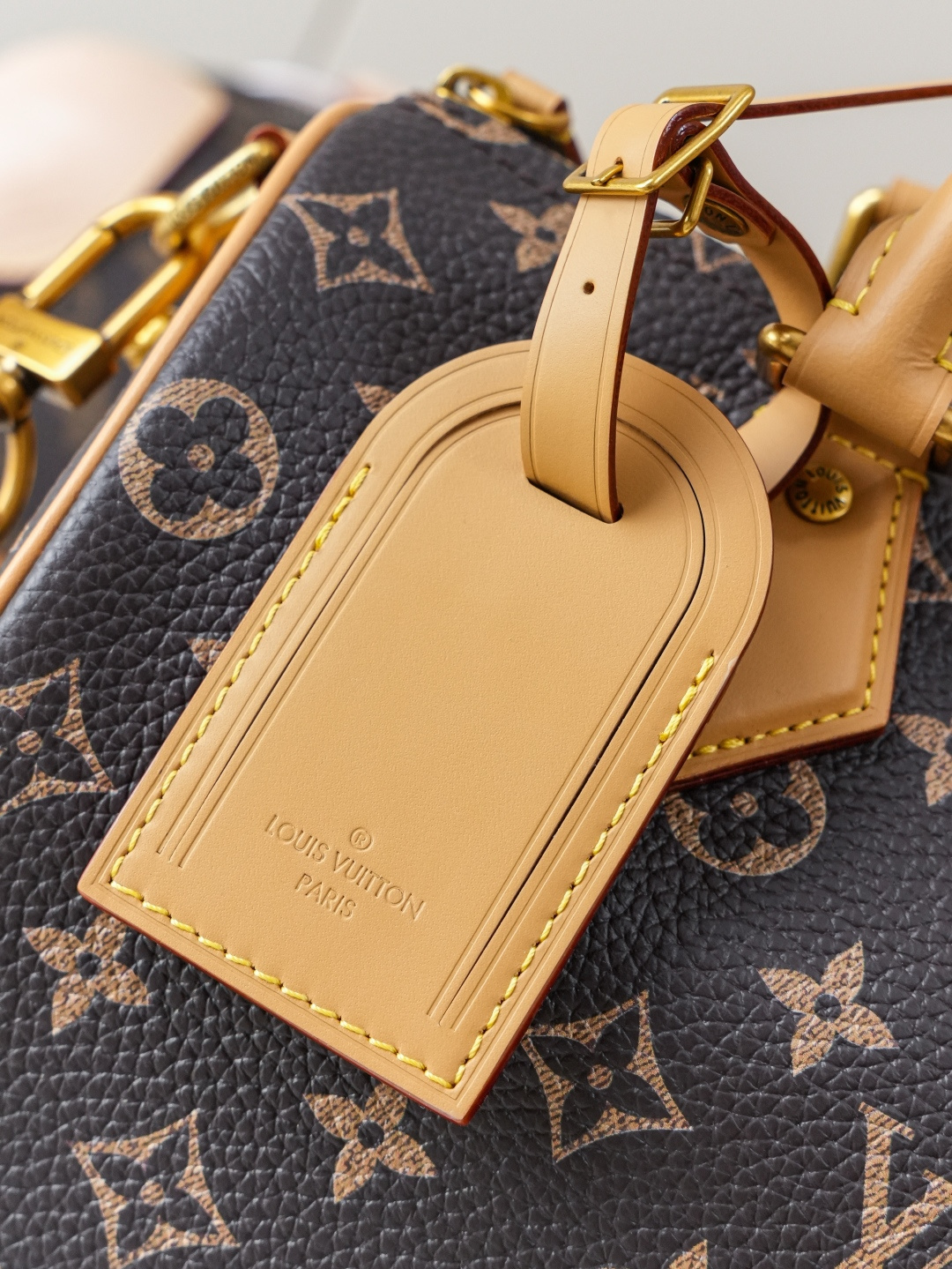 Louis Vuitton Handbag M24443