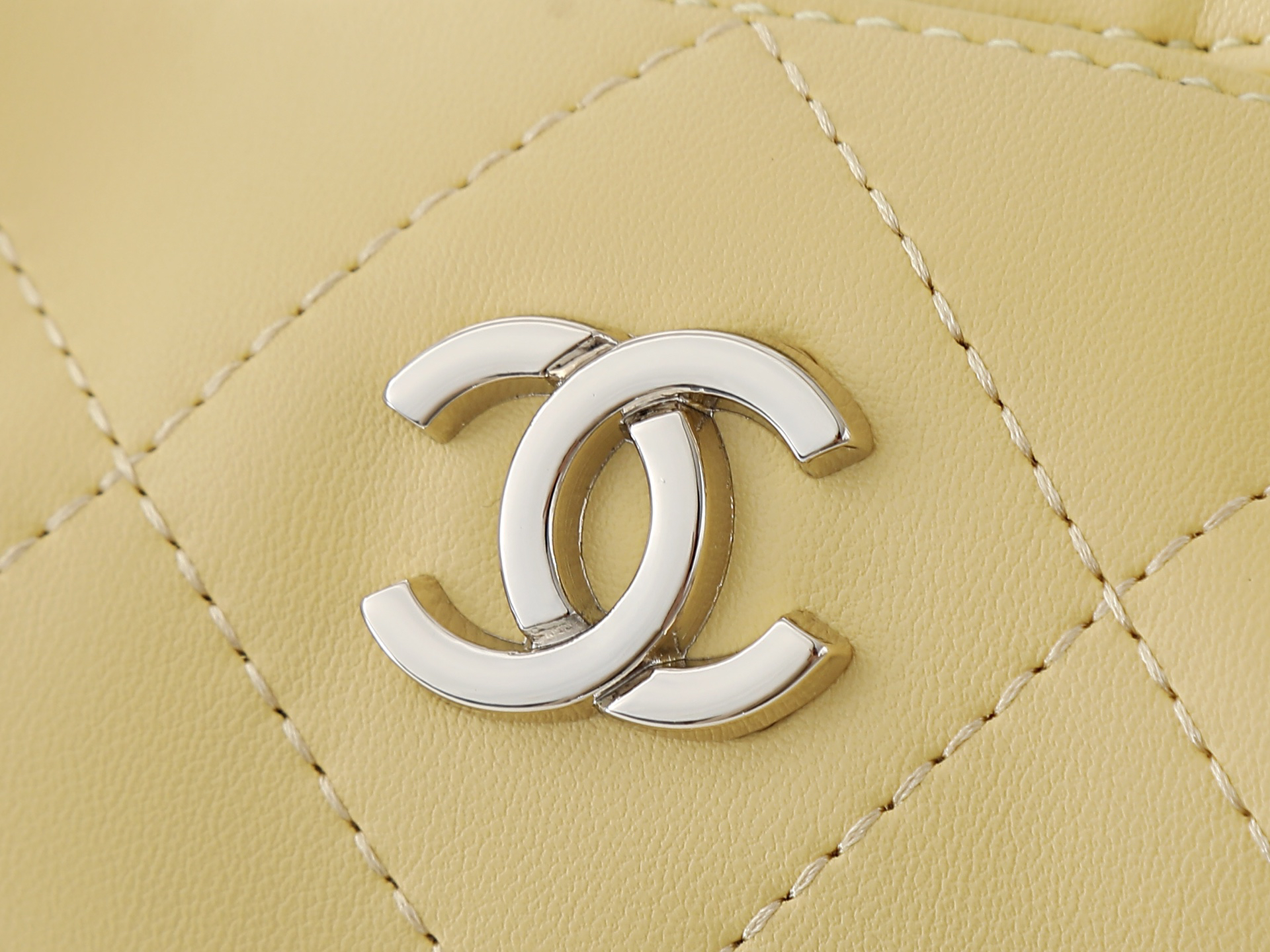 Chanel Shoulder Bag 6138