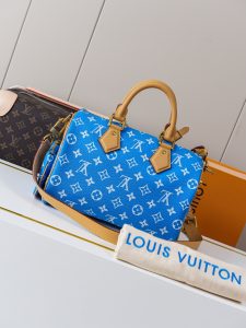 Louis Vuitton Handbag M24424
