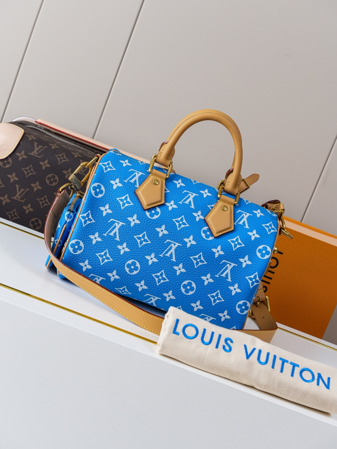 Louis Vuitton Handbag M24424