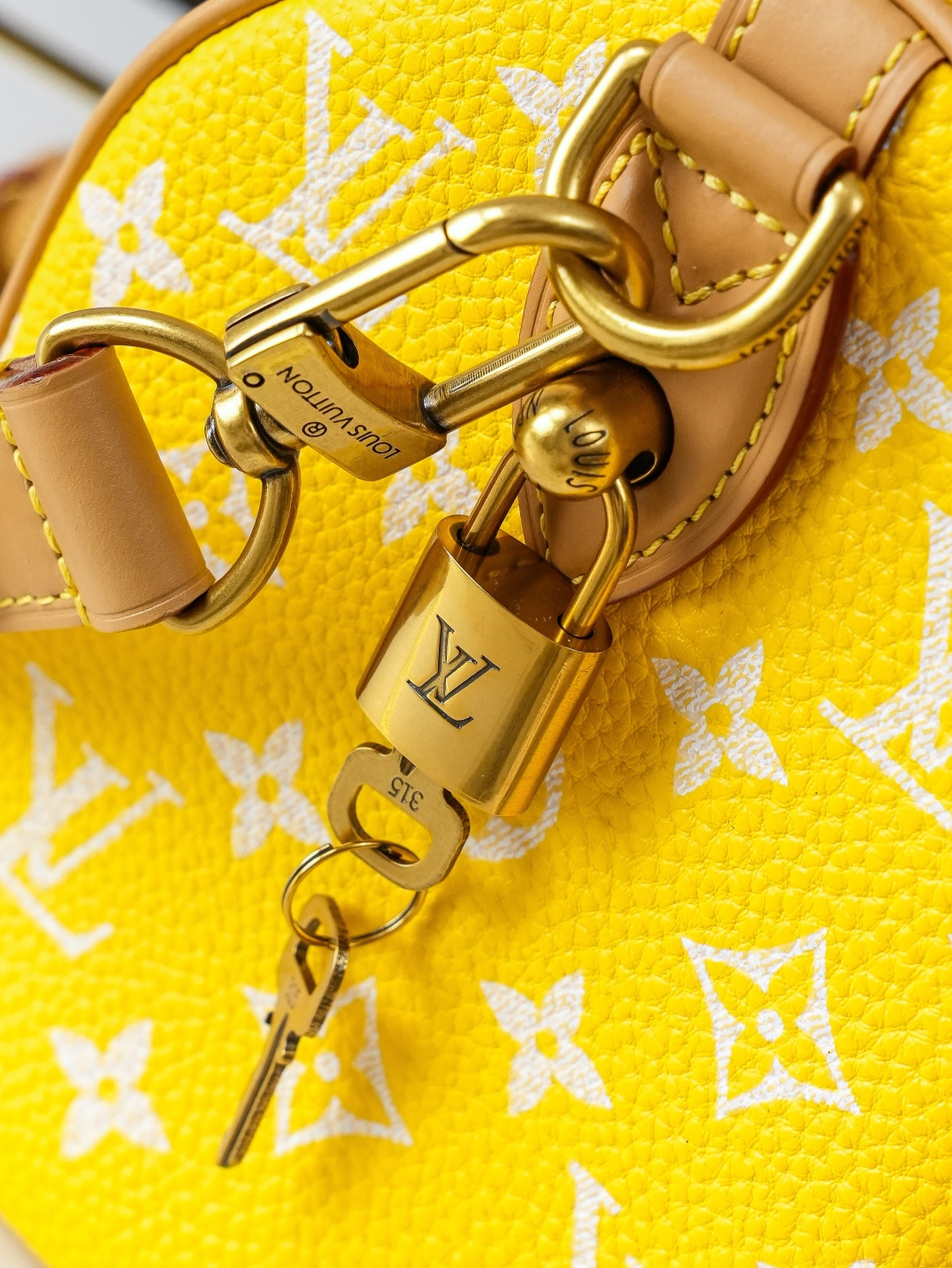Louis Vuitton Handbag M24426