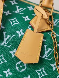 Louis Vuitton Handbag M14077