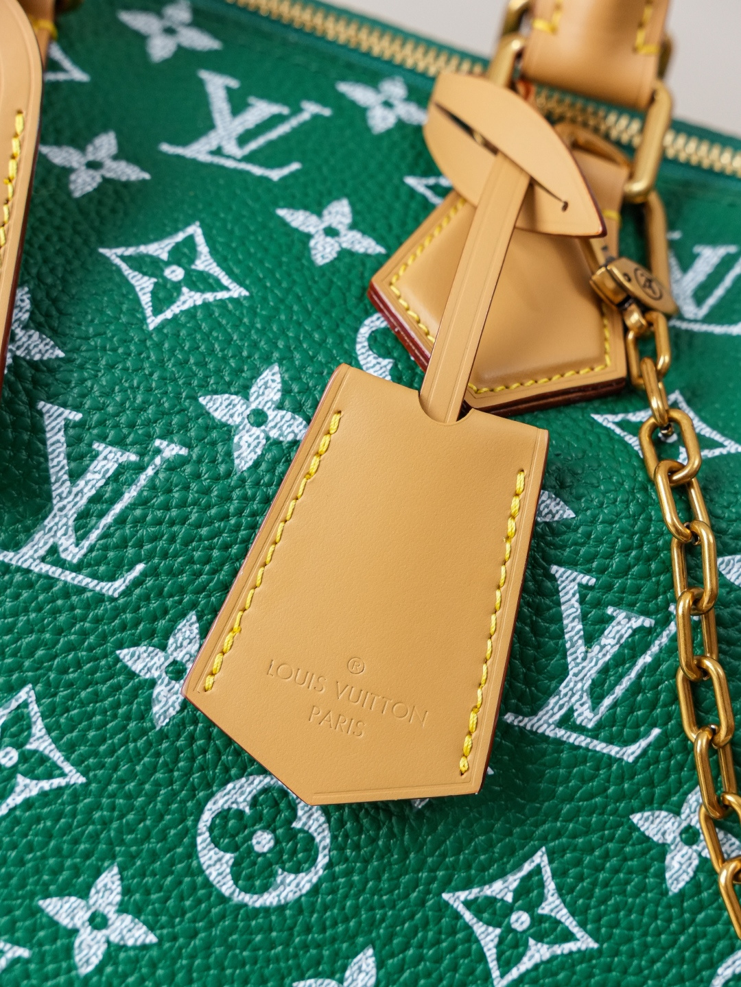 Louis Vuitton Handbag M14077