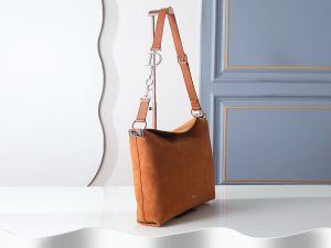 Dior Handbag in Brown