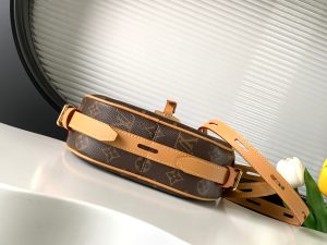 Louis Vuitton Shoulder Bag