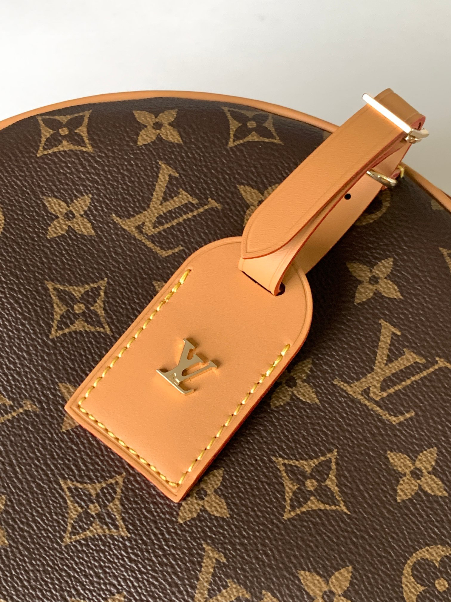 Louis Vuitton Shoulder Bag