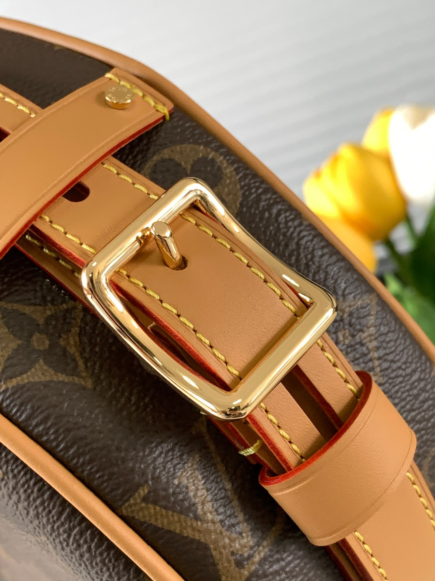 Louis Vuitton Shoulder Bag