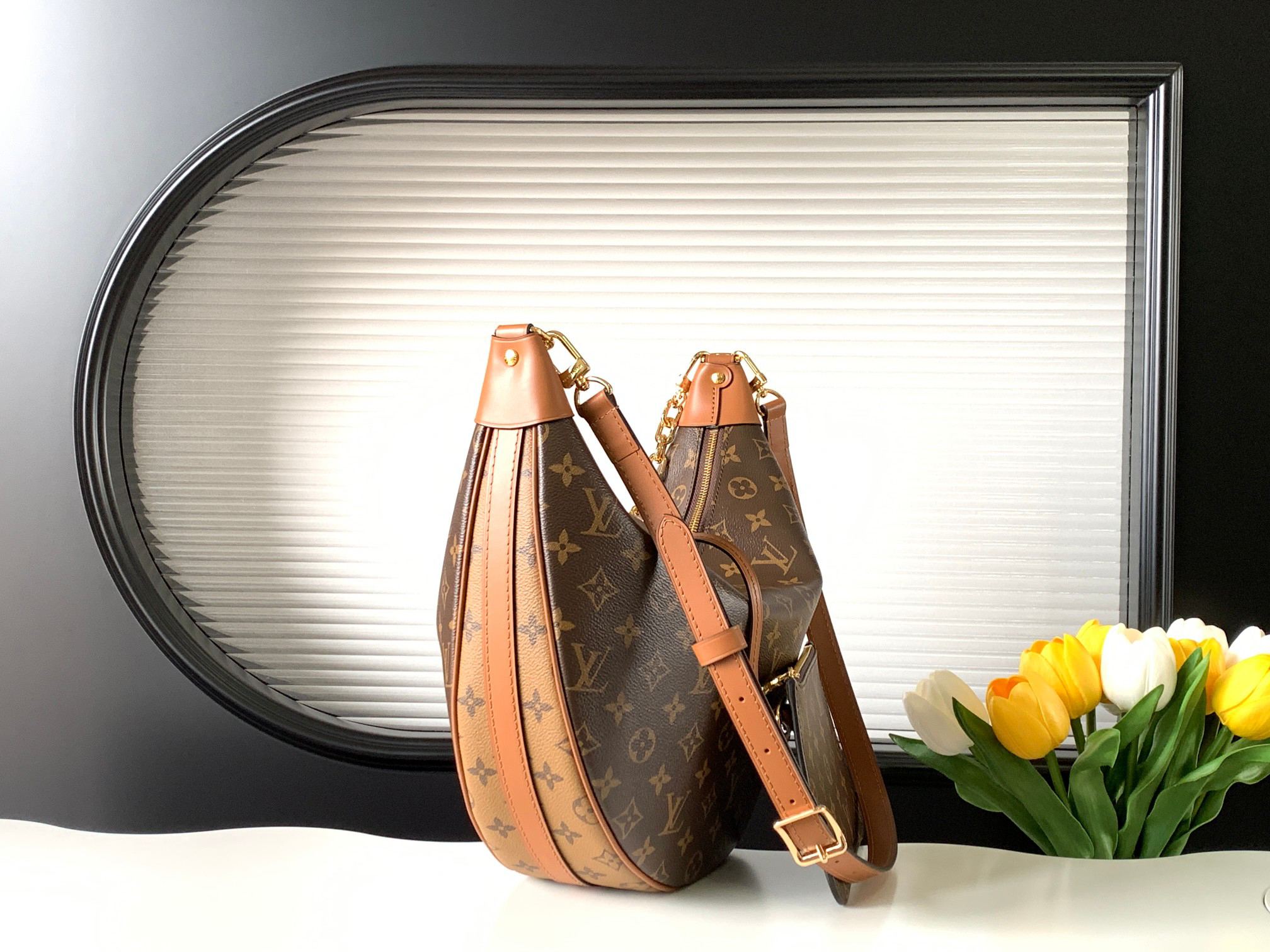 Louis Vuitton Handbag
